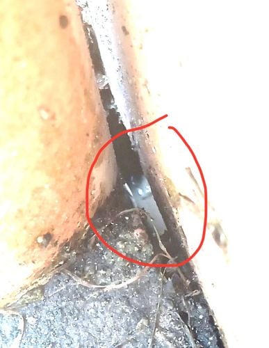 IMG_9447.jpeg IMG_9447.jpeg