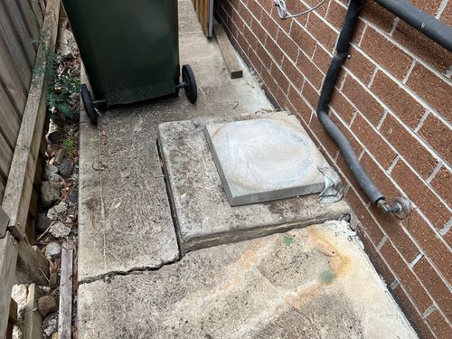 IMG_3809.jpeg IMG_3809.jpeg