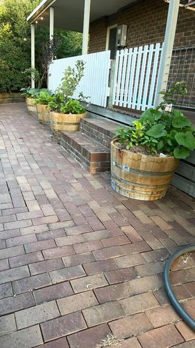 F8013701-7711-42D8-AEF1-EFBED15D3EF2.jpeg F8013701-7711-42D8-AEF1-EFBED15D3EF2.jpeg