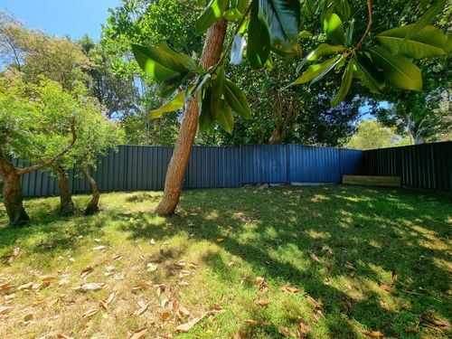 20250104_142458.jpg 20250104_142458.jpg