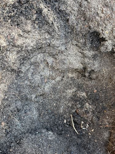 IMG_3306.jpeg IMG_3306.jpeg