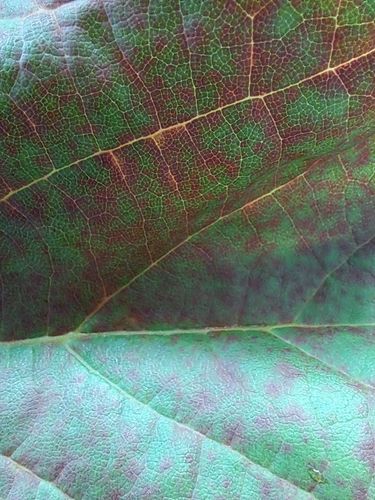 1000019113.jpg 1000019113.jpg