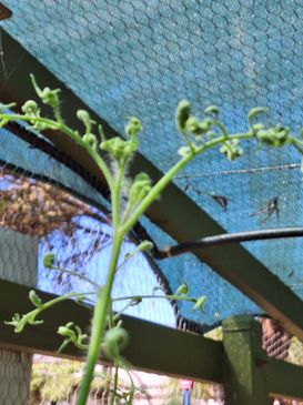 20240916_135102.jpg 20240916_135102.jpg