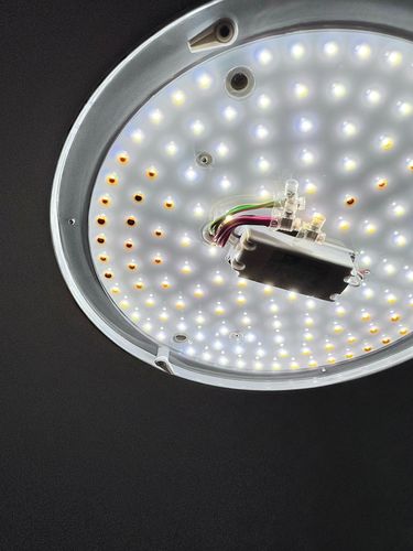 IMG_4080.jpeg IMG_4080.jpeg