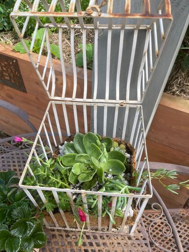 582D4B5C-E164-42BB-8819-0E91E9F43D50.jpeg 582D4B5C-E164-42BB-8819-0E91E9F43D50.jpeg