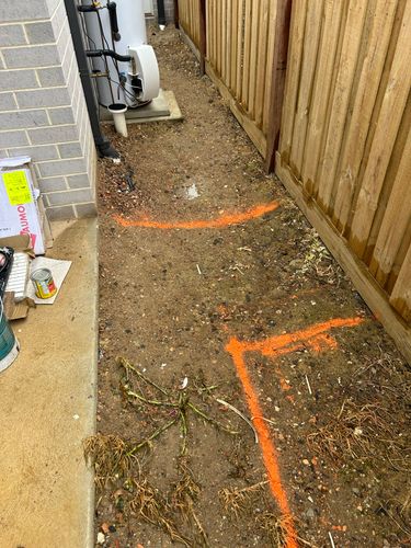 IMG_1815.jpeg IMG_1815.jpeg