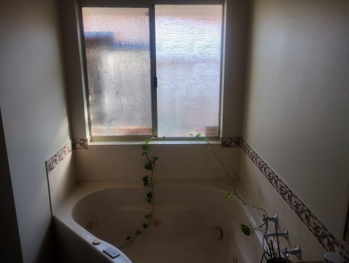 IMG_20240427_155019538.jpg IMG_20240427_155019538.jpg