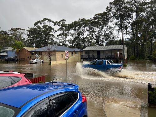 IMG_9707.jpeg IMG_9707.jpeg