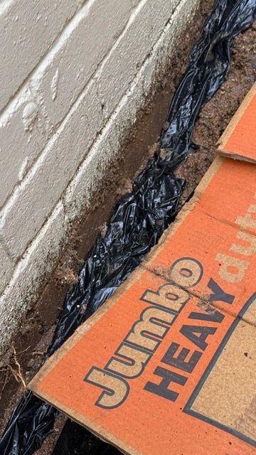 C-IMG_7659 Medium.jpeg C-IMG_7659 Medium.jpeg