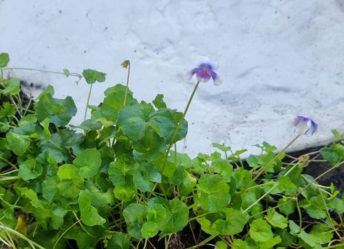 1000019464.jpg 1000019464.jpg