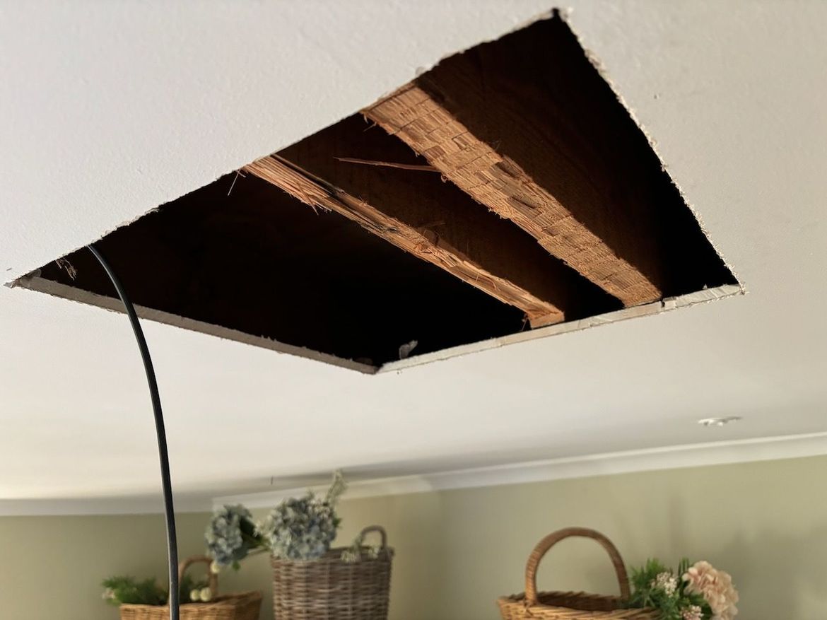 IMG_8236.jpeg IMG_8236.jpeg