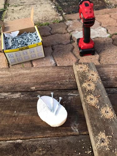 12 07-10-2023.jpg 12 07-10-2023.jpg