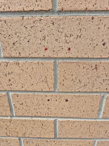 1000011944.jpg 1000011944.jpg