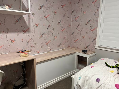 IMG_5640.jpeg IMG_5640.jpeg