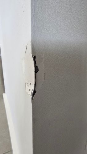 1000046572.jpg 1000046572.jpg