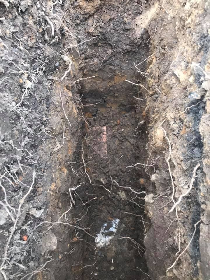 23 18-09-2021.jpg 23 18-09-2021.jpg