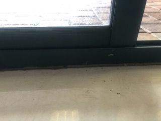 IMG_3701.jpeg IMG_3701.jpeg