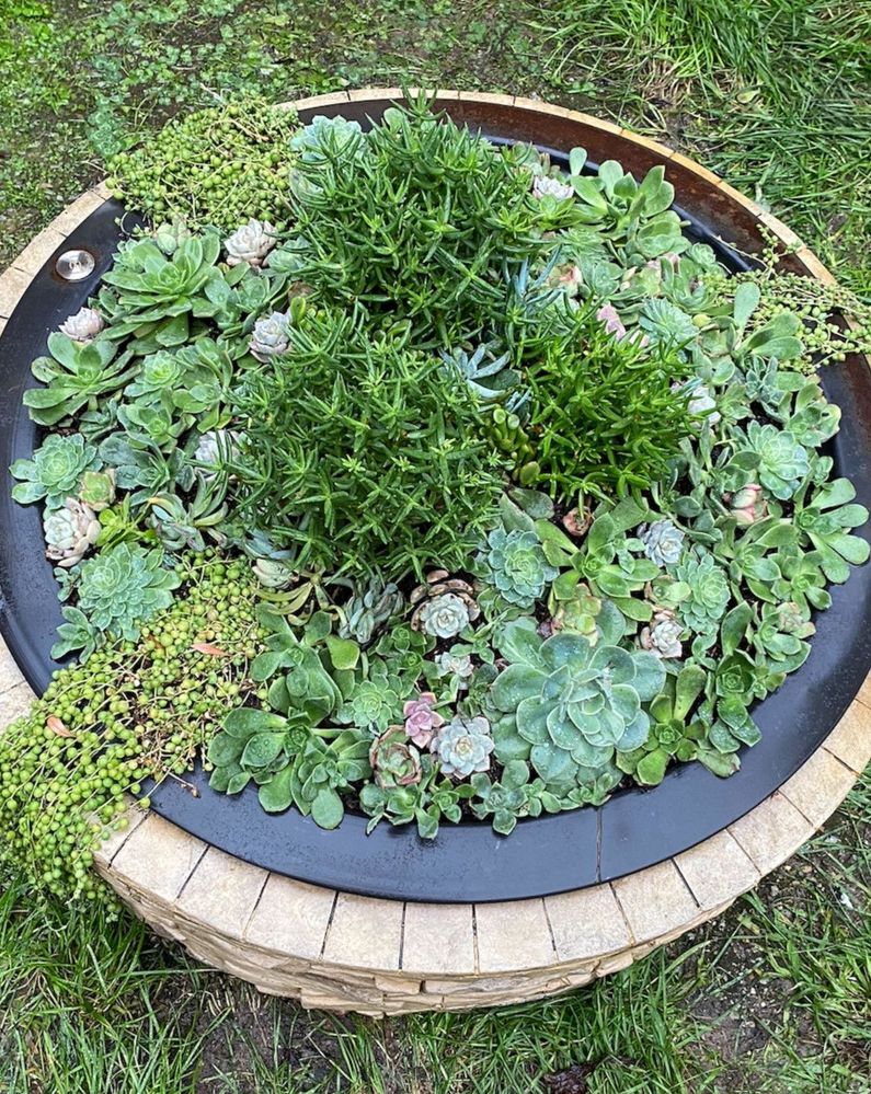 fire-pit-after.jpg fire-pit-after.jpg