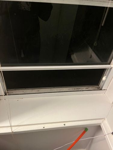 IMG_5576.jpeg IMG_5576.jpeg