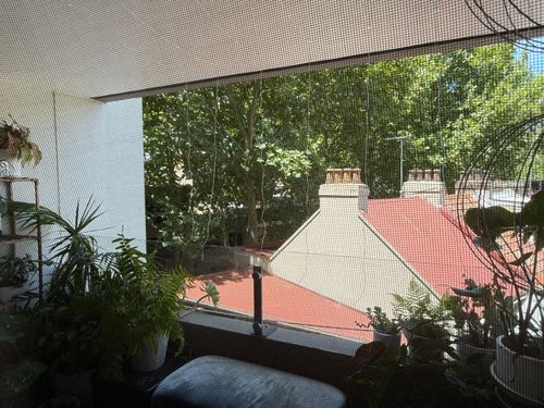 IMG_4707.jpeg IMG_4707.jpeg