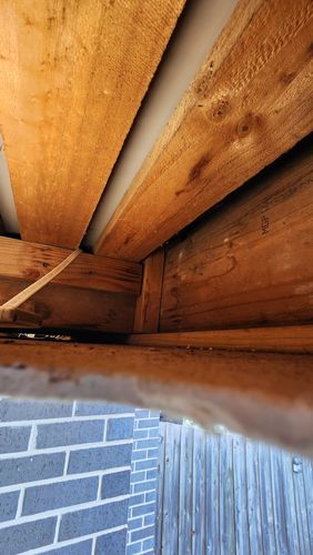 20250209_190306.jpg 20250209_190306.jpg