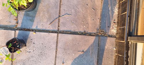 20250402_174907.jpg 20250402_174907.jpg