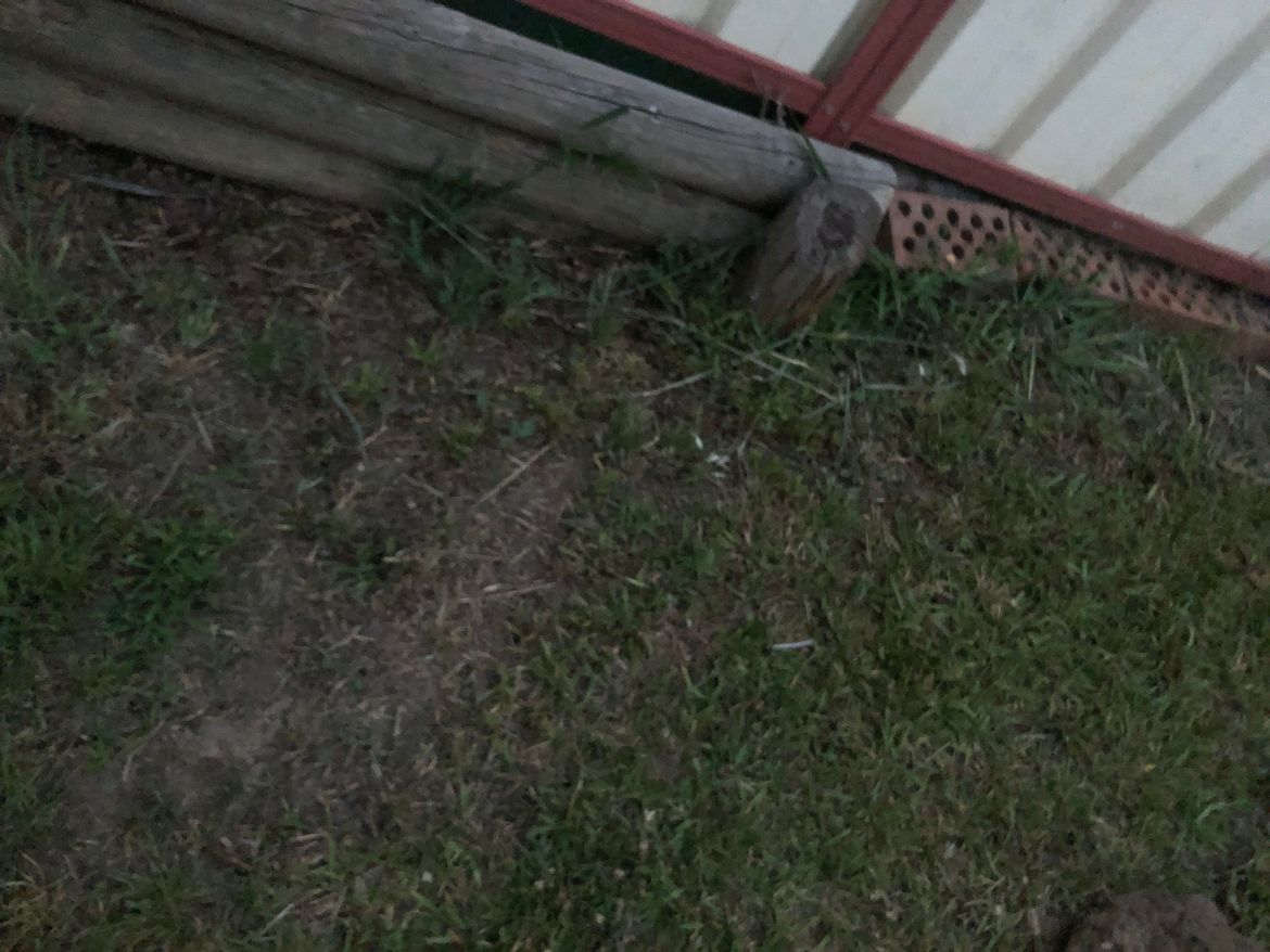 before.jpeg before.jpeg