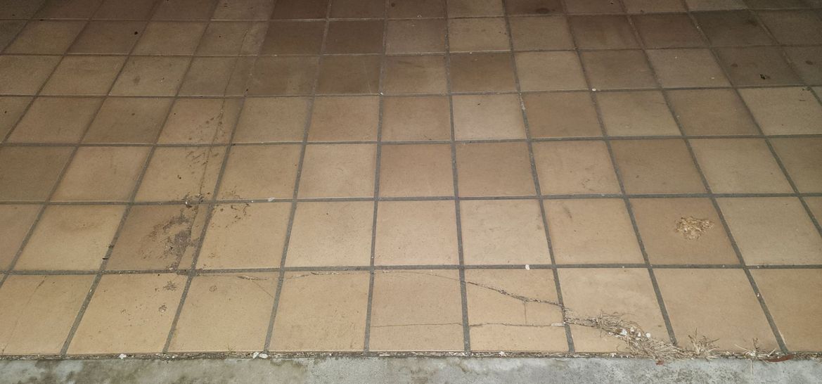 20250306_202206.jpg 20250306_202206.jpg