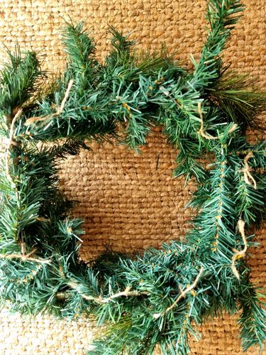 20231219_110404.jpg 20231219_110404.jpg