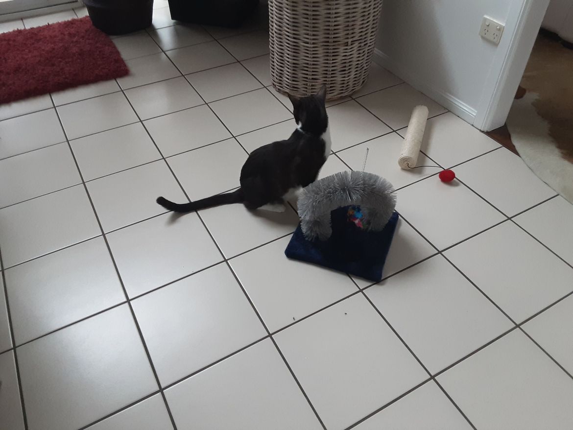 20220922_095236.jpg 20220922_095236.jpg