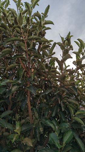 1000012930.jpg 1000012930.jpg