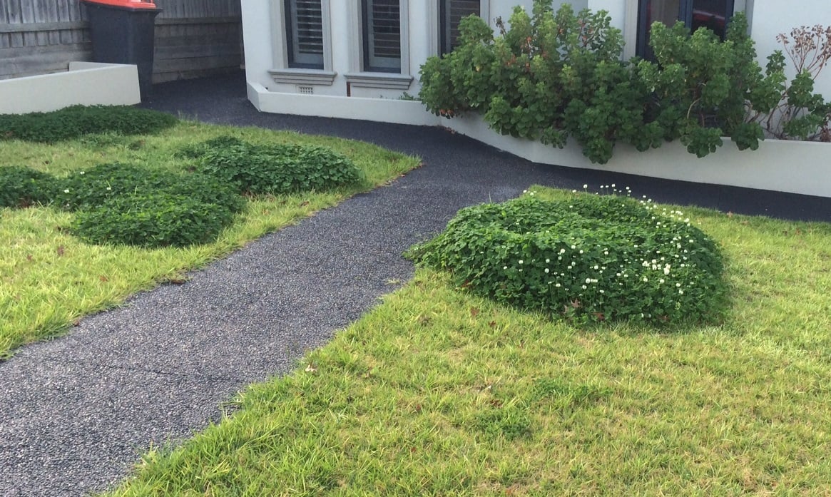 Clover.JPG Clover.JPG