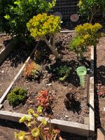 IMG_7192.JPG IMG_7192.JPG