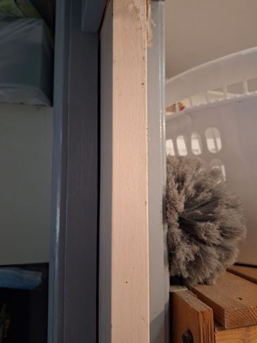 1000031142.jpg 1000031142.jpg