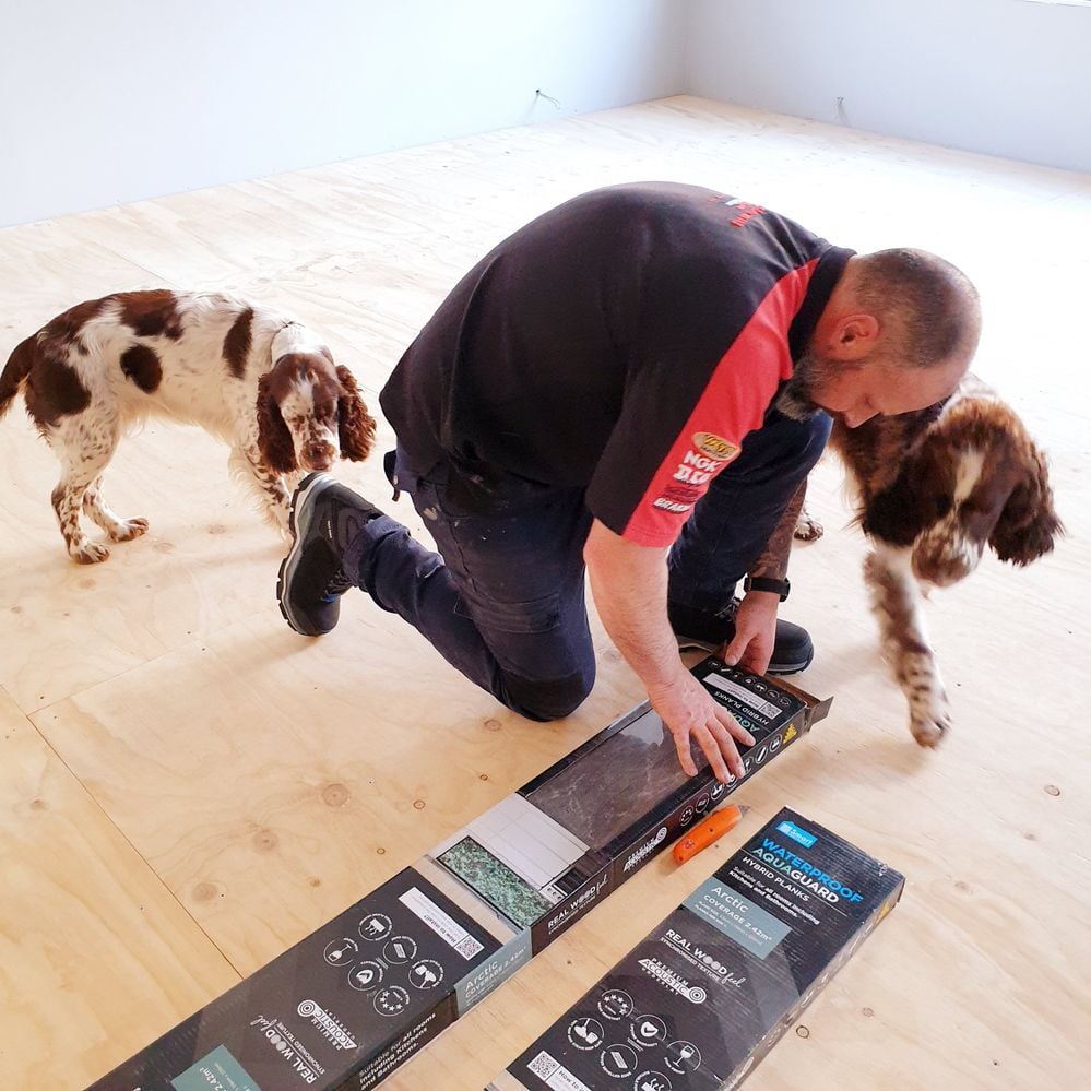 20210626_160158.jpg 20210626_160158.jpg