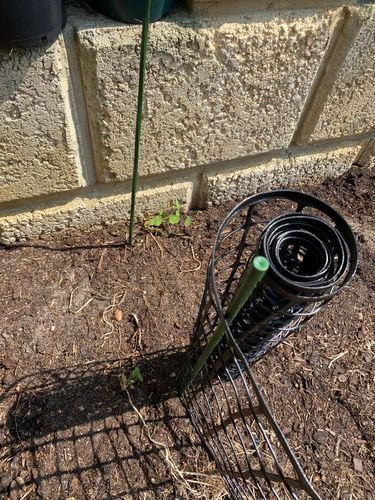 4F6EC15C-33D6-4C14-9ED9-A2EECB28301F.jpeg 4F6EC15C-33D6-4C14-9ED9-A2EECB28301F.jpeg