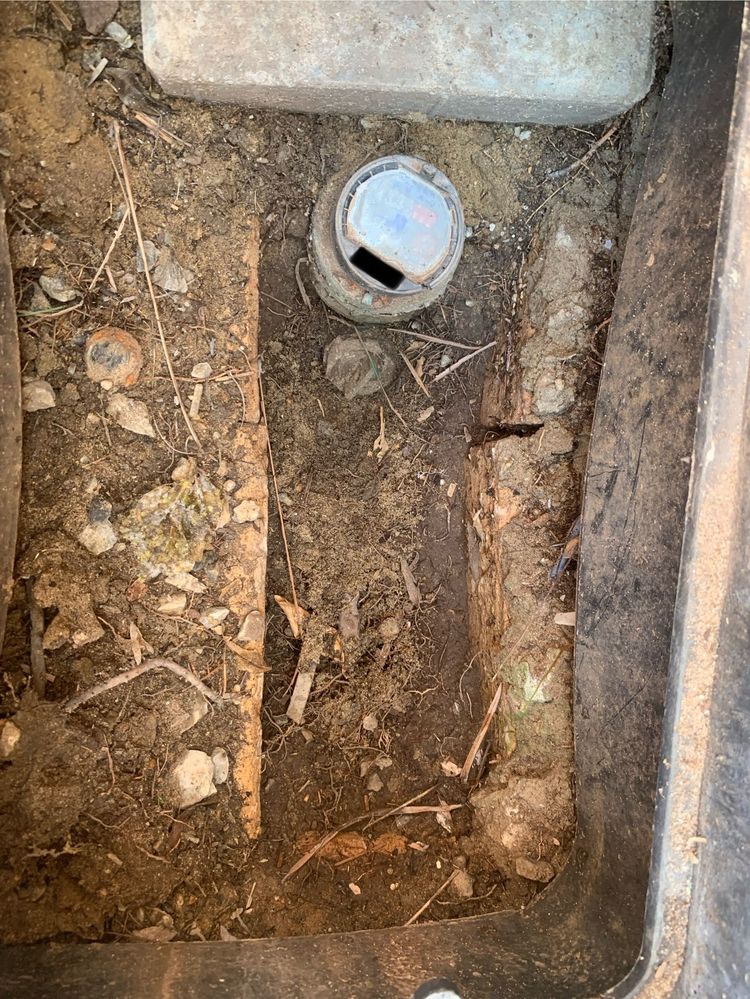 IMG_9116.jpg IMG_9116.jpg