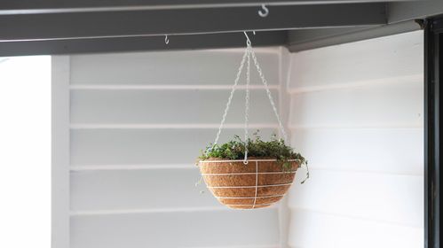 7. How to create a hanging garden Hero image v1.jpeg 7. How to create a hanging garden Hero image v1.jpeg