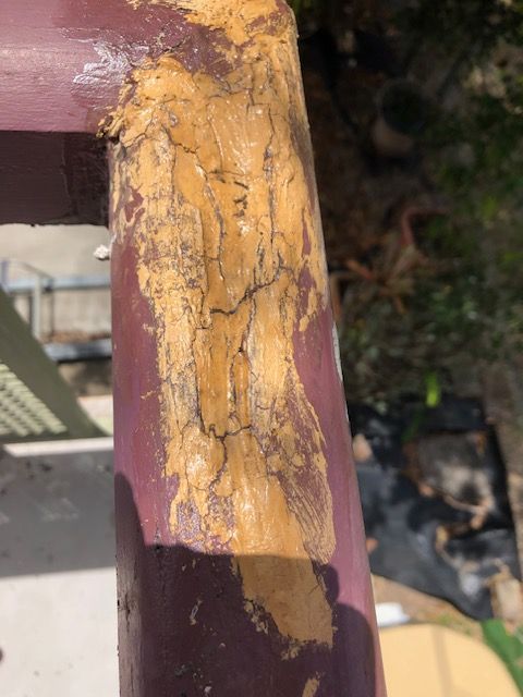 IMG_5919.jpg IMG_5919.jpg