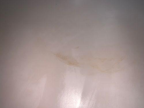 IMG_8946.jpeg IMG_8946.jpeg