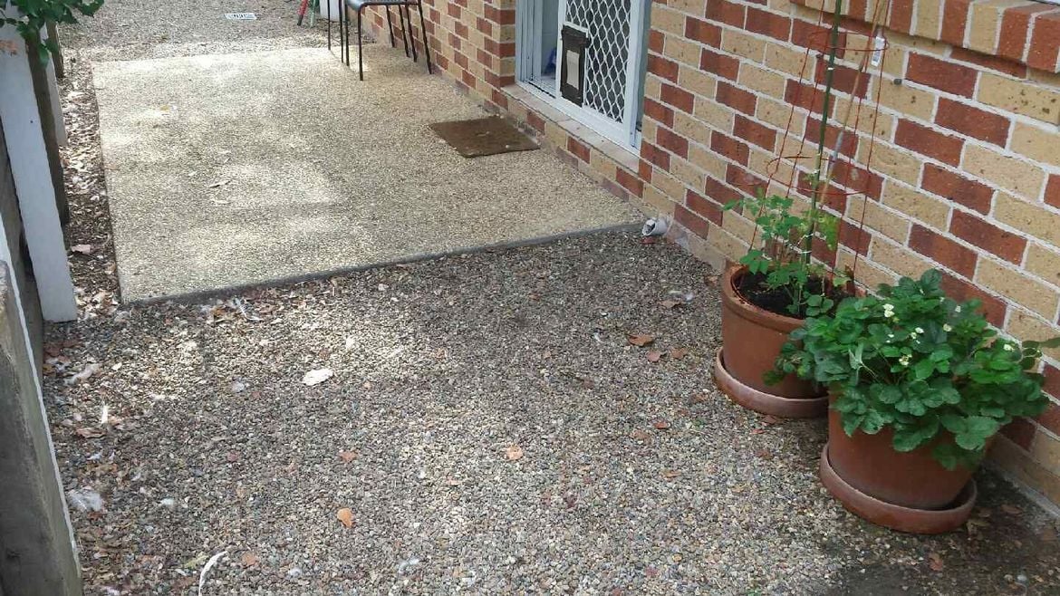 20200101_074031.jpeg 20200101_074031.jpeg