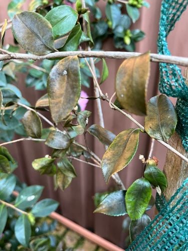 IMG_1659.jpeg IMG_1659.jpeg