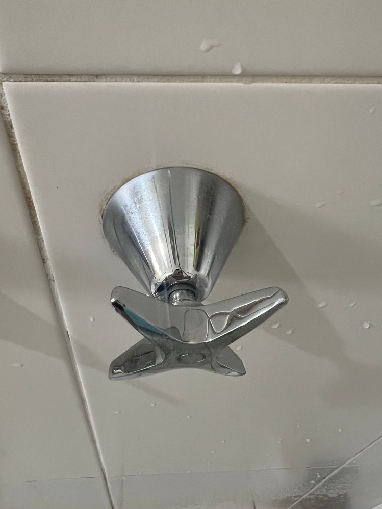 IMG_2378.jpg IMG_2378.jpg