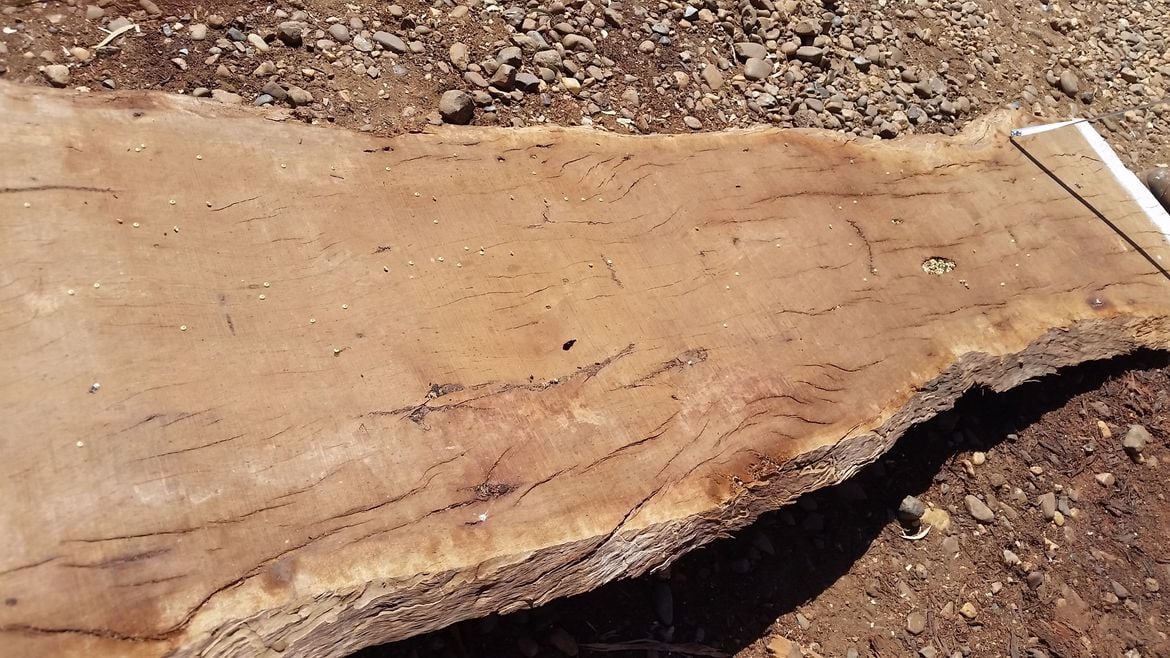 20191205_103716.jpg 20191205_103716.jpg