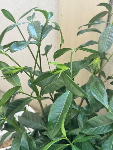 IMG_0914.jpeg IMG_0914.jpeg