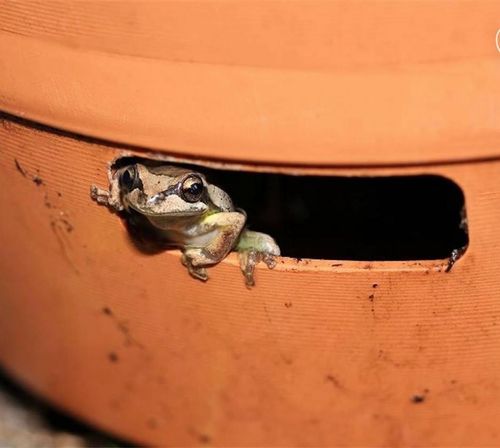 64E10B22-5B2B-4114-AD32-6630D5DAC048.jpeg 64E10B22-5B2B-4114-AD32-6630D5DAC048.jpeg