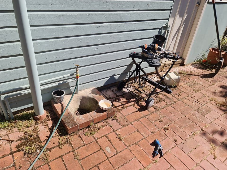 270304599_612830393355537_9133331117835791138_n.jpg 270304599_612830393355537_9133331117835791138_n.jpg