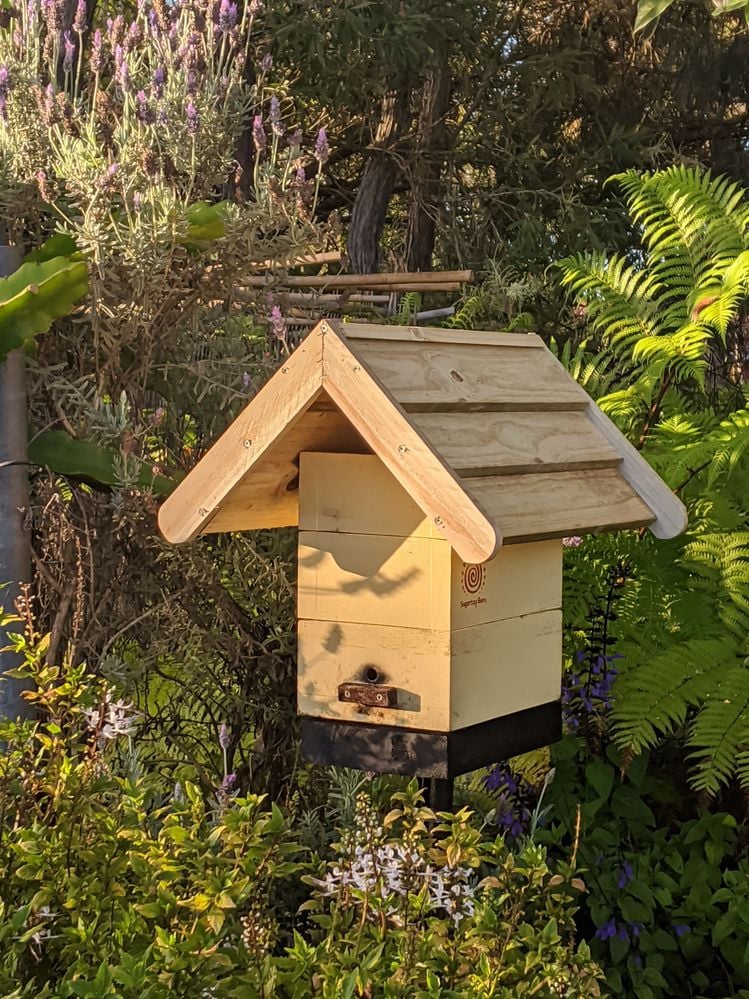 IMG_20200914_063402.jpg IMG_20200914_063402.jpg