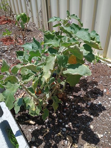 1000072389.jpg 1000072389.jpg