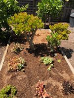 IMG_7213.JPG IMG_7213.JPG